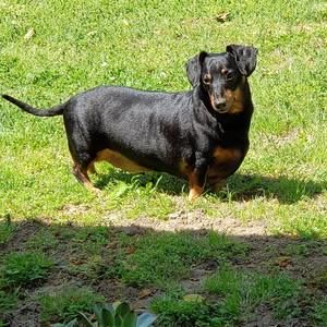 Meet your Posher, Susan